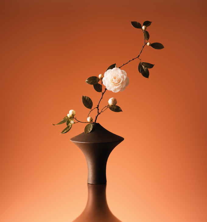 The Camellia